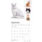 BrownTrout; Cat Lovers | 2027 12 x 24 Inch (Hanging) Monthly Square Wall Calendar | Foil Stamped Cover | Plastic-Free; Category:Wall Calendars; Image:5